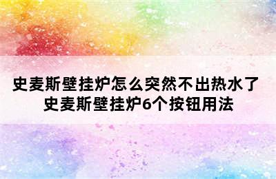 史麦斯壁挂炉怎么突然不出热水了 史麦斯壁挂炉6个按钮用法